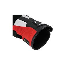 BMW PaceDry GTX Gloves (2023)